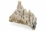 Sparkly Calcite & Aragonite Stalactite Formation - Morocco #216928-4